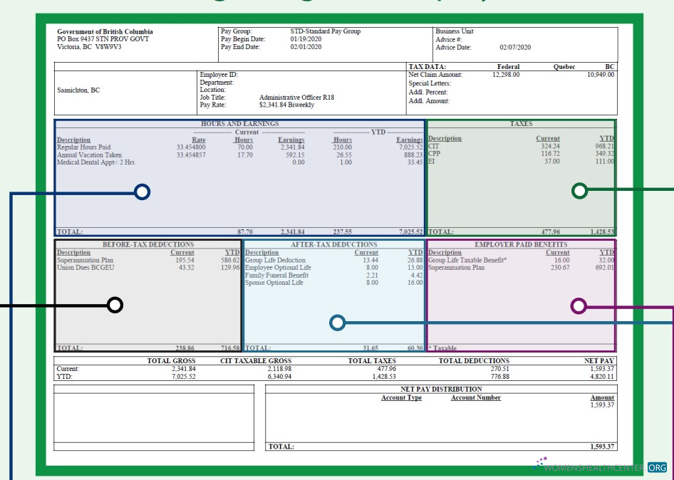 Download BARGAINING UNIT employee pay stub Word and PDF template Photoshop template